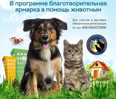 Выставка собак и кошек «Пойдём домой» пройдёт в рязанском Лесопарке - 7info.ru - Рязань