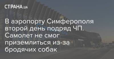 В аэропорту Симферополя второй день подряд ЧП. Самолет не смог приземлиться из-за бродячих собак - strana.ua - Симферополь