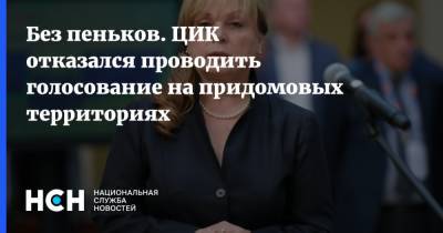 Элла Памфилова - Анна Попова - Без пеньков. ЦИК отказался проводить голосование на придомовых территориях - nsn.fm