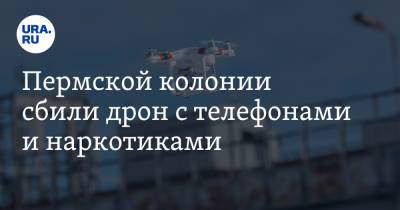Пермской колонии сбили дрон с телефонами и наркотиками - ura.news - Пермский край