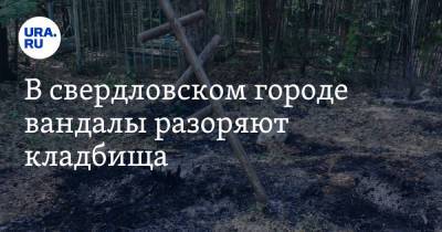 Валерий Горелых - В свердловском городе вандалы разоряют кладбища. Фото - ura.news