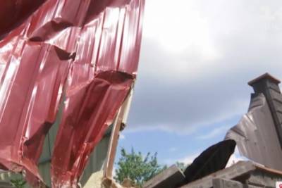 Пьяный водитель троллейбуса в Луцке разбила два забора и уехала в депо - rupor.info - Луцк