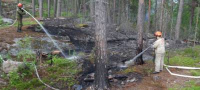 Туристы потушили пожар на острове в Ладожском озере в Карелии (ФОТО) - stolicaonego.ru - республика Карелия