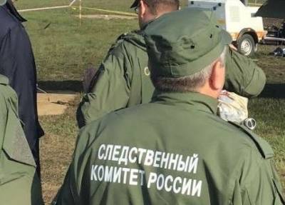 СК в ЯНАО проверяет историю, как шашлычник обжег беременную. После ЧП она потеряла ребенка - znak.com - окр. Янао