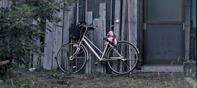 Жительница Карелии зашла в магазин и лишилась велосипеда - stolicaonego.ru - район Олонецкий - Олонец - республика Карелия