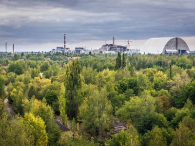 В Чернобыльском заповеднике возобновят работу велосипедных и водных маршрутов - gordonua.com