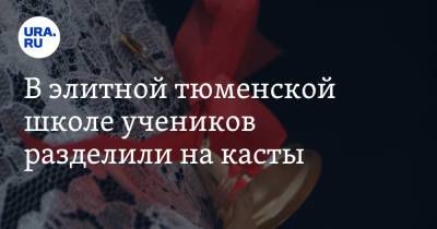 В элитной тюменской школе учеников разделили на касты - ura.news - Тюмень