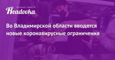 Во Владимирской области вводятся новые коронавирусные ограничения - readovka.news - Москва - Московская обл. - Владимирская обл.