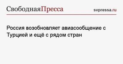 Татьяна Голикова - Россия возобновляет авиасообщение с Турцией и ещё с рядом стран - svpressa.ru - Турция