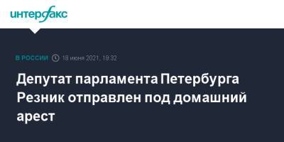 Максим Резник - Депутат парламента Петербурга Резник отправлен под домашний арест - interfax.ru - Москва - Санкт-Петербург - Петербург