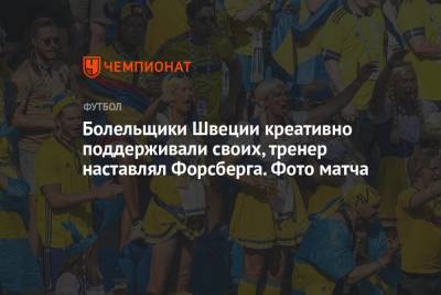 Эмиль Форсберг - Болельщики Швеции креативно поддерживали своих, тренер наставлял Форсберга. Фото матча - championat.com - Санкт-Петербург - Швеция - Испания - Словакия