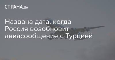 Татьяна Голикова - Названа дата, когда Россия возобновит авиасообщение с Турцией - strana.ua - Турция