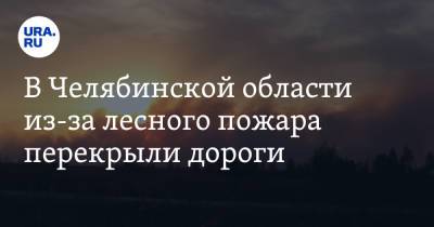 Сергей Лавров - В Челябинской области из-за лесного пожара перекрыли дороги. Фото - ura.news - Челябинская обл. - Челябинск - район Октябрьский