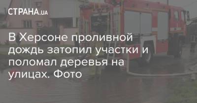 В Херсоне проливной дождь затопил участки и поломал деревья на улицах. Фото - strana.ua - Херсон