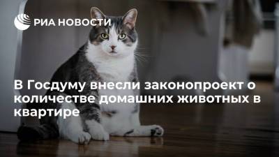 Госсовет Татарстана внес в Госдуму законопроект о количестве домашних животных в квартире - ria.ru - Москва - респ. Татарстан