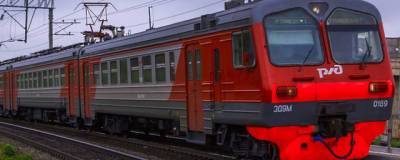 В Новосибирской области электричка насмерть сбила двух девочек - runews24.ru - Новосибирская обл.