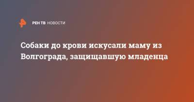 Собаки до крови искусали маму из Волгограда, защищавшую младенца - ren.tv - Волгоград