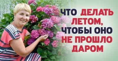 Собираюсь пропеть лето красное, как стрекоза, делюсь планами - skuke.net