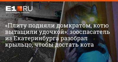 «Плиту подняли домкратом, котю вытащили удочкой»: зооспасатель из Екатеринбурга разобрал крыльцо, чтобы достать кота - e1.ru - Екатеринбург