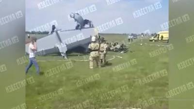 Появилось первое видео с места крушения самолета в Кузбассе - iz.ru - Израиль - район Кузбасса
