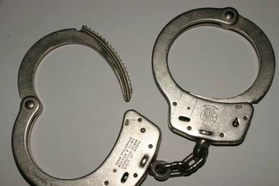 Задержан насильник и убийца пропавшей в Нижегородской области американки - mk.ru - Нижегородская обл.