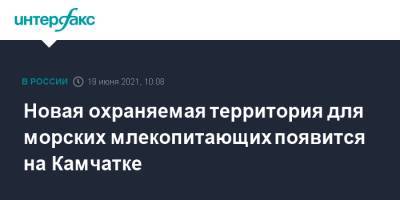 Юрий Трутнев - Владимир Солодов - Новая охраняемая территория для морских млекопитающих появится на Камчатке - interfax.ru - Москва - Камчатский край