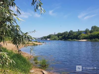 Жара до +34°С ожидается в Нижегородской области 19-24 июня - vgoroden.ru - Нижегородская обл.