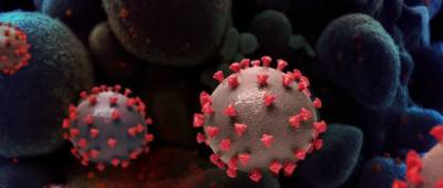 Сумья Сваминатан - Штамм коронавируса «Дельта» становится доминирующим в мире — ВОЗ - w-n.com.ua - Англия