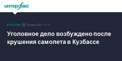 Александр Бастрыкин - Уголовное дело возбуждено после крушения самолета в Кузбассе - interfax.ru - Москва - Кемеровская обл.