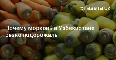 Почему морковь в Узбекистане резко подорожала - gazeta.uz - Узбекистан
