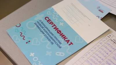 Татьяна Голикова - В России предложили верифицировать авиапассажиров по сертификату о вакцинации - penzainform.ru