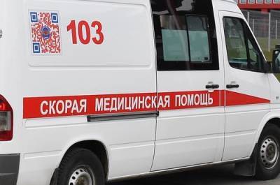 Власти Кемеровской области опровергли информацию о девяти погибших при крушении самолета - argumenti.ru - Нижегородская обл. - Кемеровская обл. - Кемерово