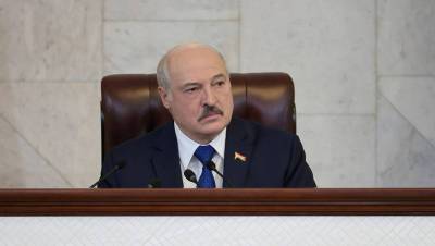 Александр Лукашенко - Роман Протасевич - Лукашенко заявил, что Белоруссия перестанет принимать украинские самолеты - gazeta.ru - Минск - Ирландия