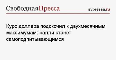 Николай Переславский - Курс доллара подскочил к двухмесячным максимумам: ралли станет самоподпитывающимся - svpressa.ru