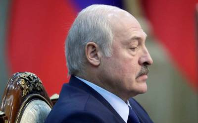Александр Лукашенко - Михаил Метцель - Роман Протасевич - Алесь Цвирк - Лукашенко сделал громкое заявление об авиасообщении с Украиной - lenta.ua - Киев - Минск