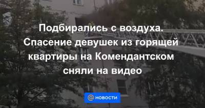 Подбирались с воздуха. Спасение девушек из горящей квартиры на Комендантском сняли на видео - news.mail.ru - Санкт-Петербург