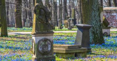 В Риге планируется создать туристические и творческие маршруты - rus.delfi.lv - Рига - Латвия