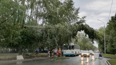 Людмила Прокофьева - МЧС предупреждает о сильном ветре на Среднем Урале - newdaynews.ru - Екатеринбург - Свердловская обл. - Березовск