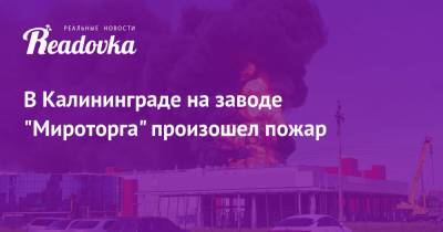 Евгений Лебедев - В Калининграде на заводе «Мироторга» произошел пожар - readovka.news - Новосибирск - Калининград