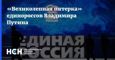 Сергей Шойгу - Владимир Путин - Сергей Лавров - Анна Кузнецова - Елена Шмелева - Денис Проценко - «Великолепная пятерка» единороссов Владимира Путина - nsn.fm