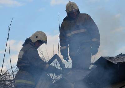 Во время пожара в Скопине спасены три человека - ya62.ru - Рязанская обл.