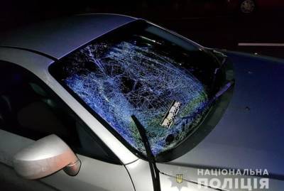 Под Запорожьем женщина погибла, защищая собаку от автомобиля - kp.ua - Запорожье - Мариуполь