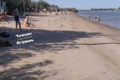 Астраханцы открыли купальный сезон - ast.mk.ru - Астрахань