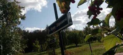 В чернобыльской зоне отчуждения откроются водные и велосипедные маршруты - stolicaonego.ru