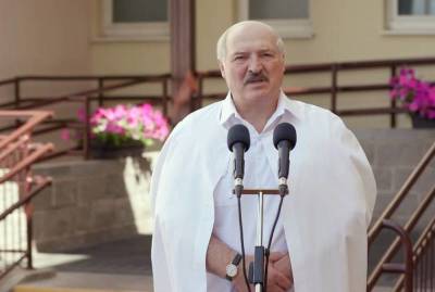 Александр Лукашенко - Беларусь отказалась принимать украинские лайнеры - topcor.ru - Киев - Сочи - Грузия - Минск
