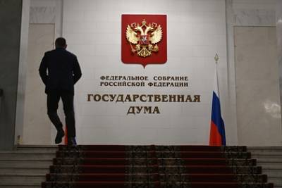 Анна Кузнецова - Светлана Бессараб - В Госдуме оценили идею увеличения маткапитала - lenta.ru