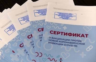 Татьяна Голикова - Небо хотят закрыть для не привившихся от ковида россиян - bloknot.ru - Минтранс