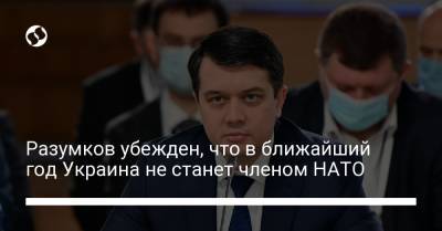 Дмитрий Разумков - Разумков убежден, что в ближайший год Украина не станет членом НАТО - liga.net