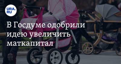 Анна Кузнецова - Светлана Бессараб - В Госдуме одобрили идею увеличить маткапитал - ura.news