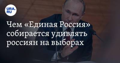 Владимир Путин - Владимир Андреев - Чем «Единая Россия» собирается удивлять россиян на выборах - ura.news